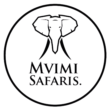 logo dark