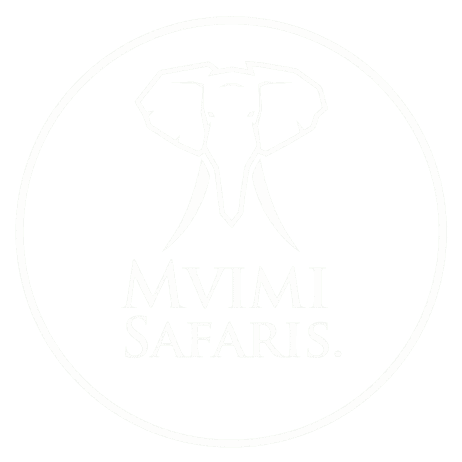 logo light