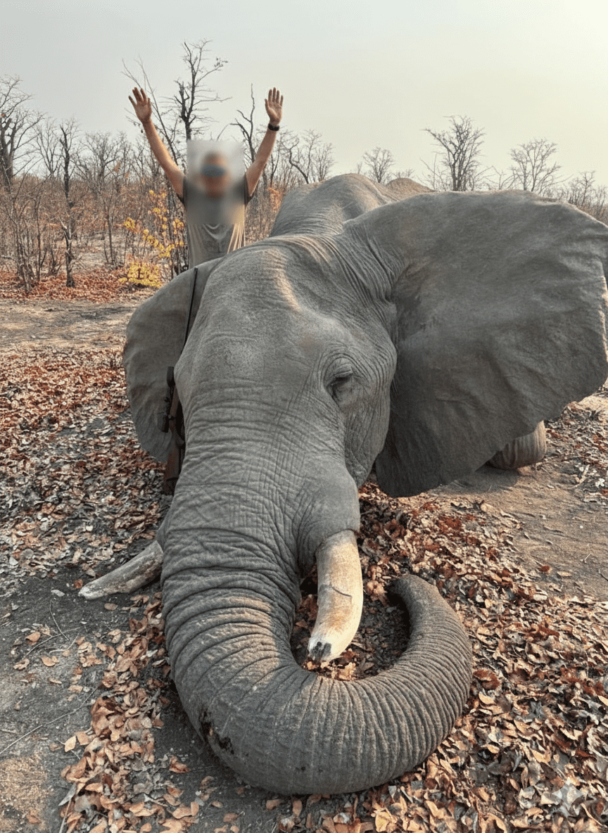 Conservation